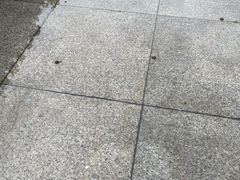 -泉城广场