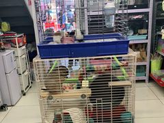 -钓仓鼠(洋桥北里小区店)