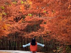 -白鹭湾湿地公园