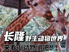 -广州长隆野生动物世界