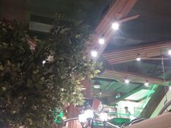 -三强鸽子(中原路店)