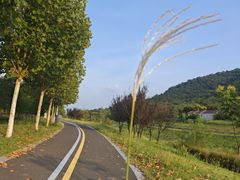 -南京市无想山景区