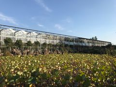 -南通洲际绿博园