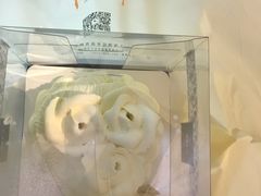 鸡心白-PONY博尼工房(高岛屋店)