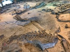 -自贡恐龙博物馆