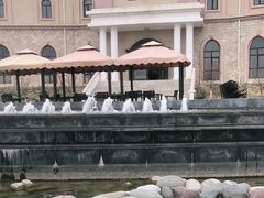 -丹世红酒庄·烧烤·团建·婚礼·水上运动