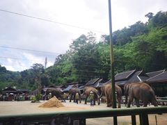 -野象谷景区