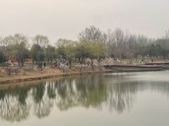 -东郊湿地公园