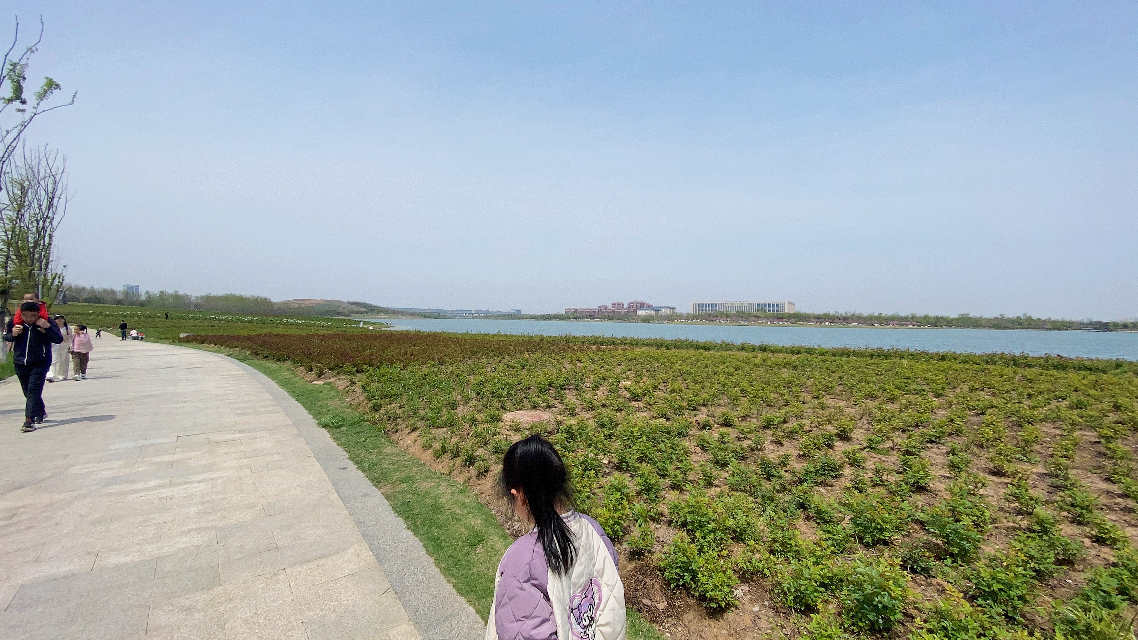 少荃湖北岸图片