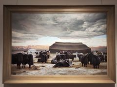 -【朵云轩艺术中心】博洛尼亚插画展·中国巡展·上海站