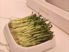 -串一火锅(赛格国际购物中心店)