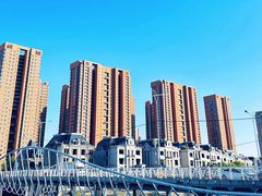 -长白岛森林公园