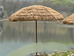 -长广溪湿地公园
