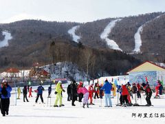 -亚布力新体委滑雪场
