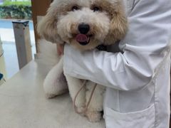 -联合动物医院(光谷诊疗中心)