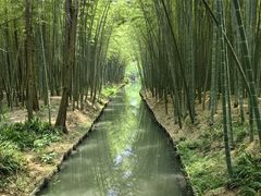 -同里国家湿地公园