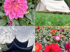 -西青郊野公园