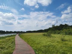 -御道口草原森林风景区