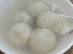 -海丝金凤(金鱼店)