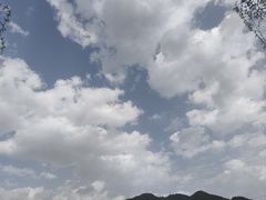 -王顺山国家森林公园
