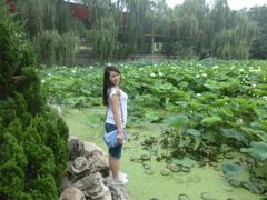 iphone_upload_pic-莲湖公园