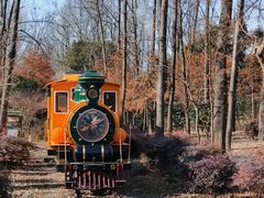 -合肥滨湖国家森林公园