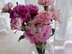 -槿妍花舍花艺生活馆(世纪港湾店)