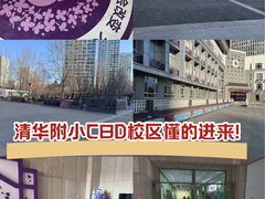 -清华大学附属小学商务中心区实验小学