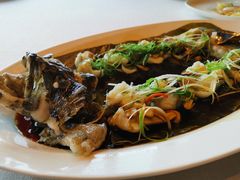 清蒸老虎斑-三利音·东方司宴(外滩店)