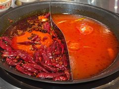 -朱光玉火锅馆(正弘城店)