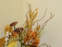 -kirakira cafe(隆生金山湖店)