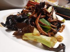 -老板恋上鱼(印象城店)