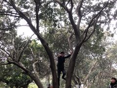 -白马涧龙池景区