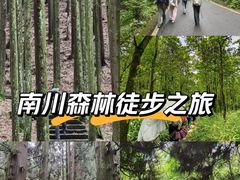 -山王坪喀斯特国家生态公园