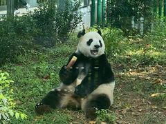 -大连森林动物园