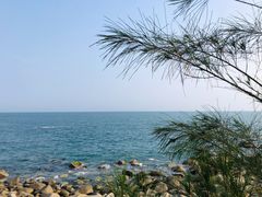 -广东惠东海龟国家级自然保护区