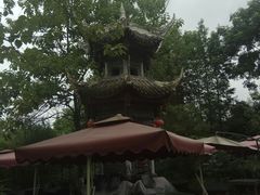 -三道苗苗鱼(三道堰老字号店)