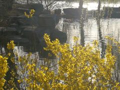 -桃花堤公园