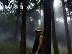 -玉苍山国家森林公园