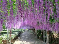 -宝岩生态观光园