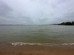 -瑶湖郊野森林公园