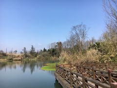 -桤木河湿地公园