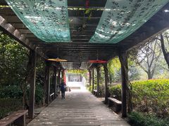 -白马涧龙池景区