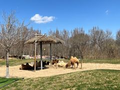 -北京野生动物园