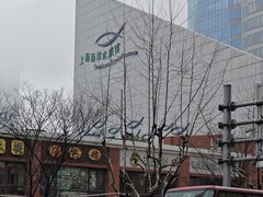 -上海海洋水族馆