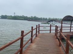 -白洋淀风景区