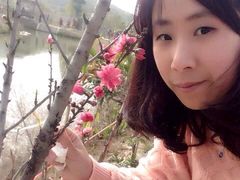 -丹樱生态园