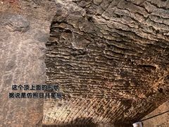 -徐州龟山景区