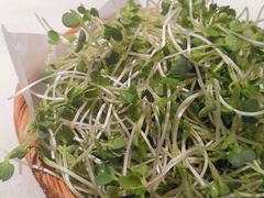 -佬麻雀·剁椒鱼头(京基KK One店)