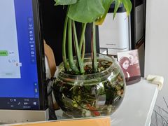 -一滴墨照相馆·证件照·形象照·领证跟拍(民耀路店)